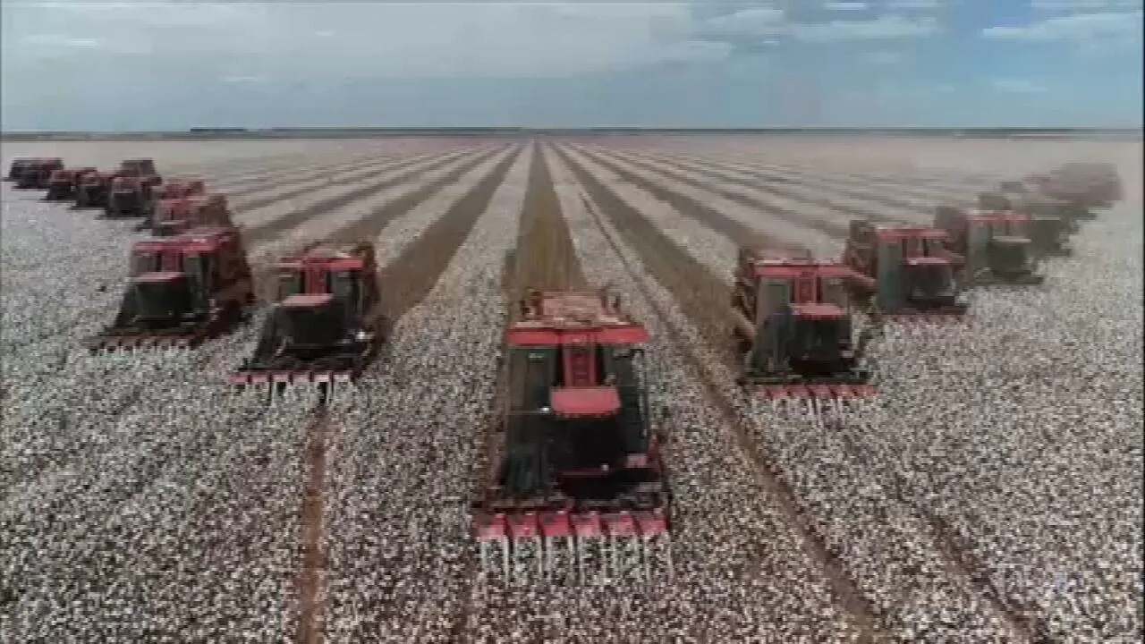 O setor agropecuário brasileiro enfrenta desafios crescentes no financiamento