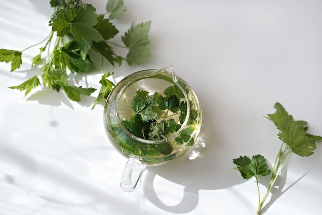 Calmantes-Naturais-As-Melhores-Plantas-Para-Ansiedade-Estresse-e-Insônia