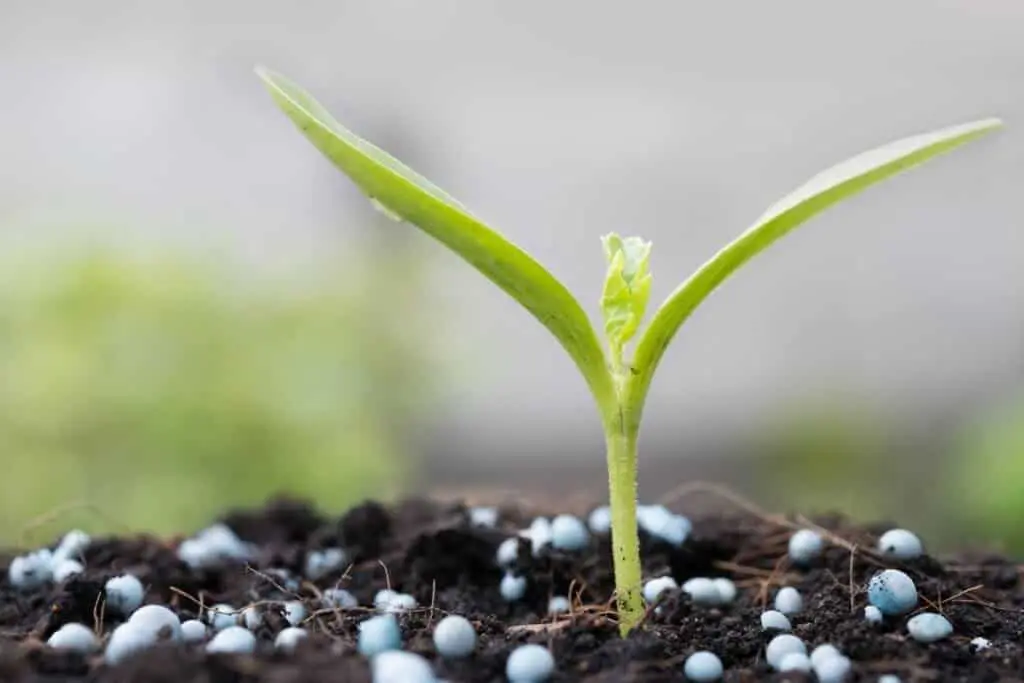 Guerra no Oriente Médio Gera Aumento dos Fertilizantes no Brasil e Pressiona Agricultores