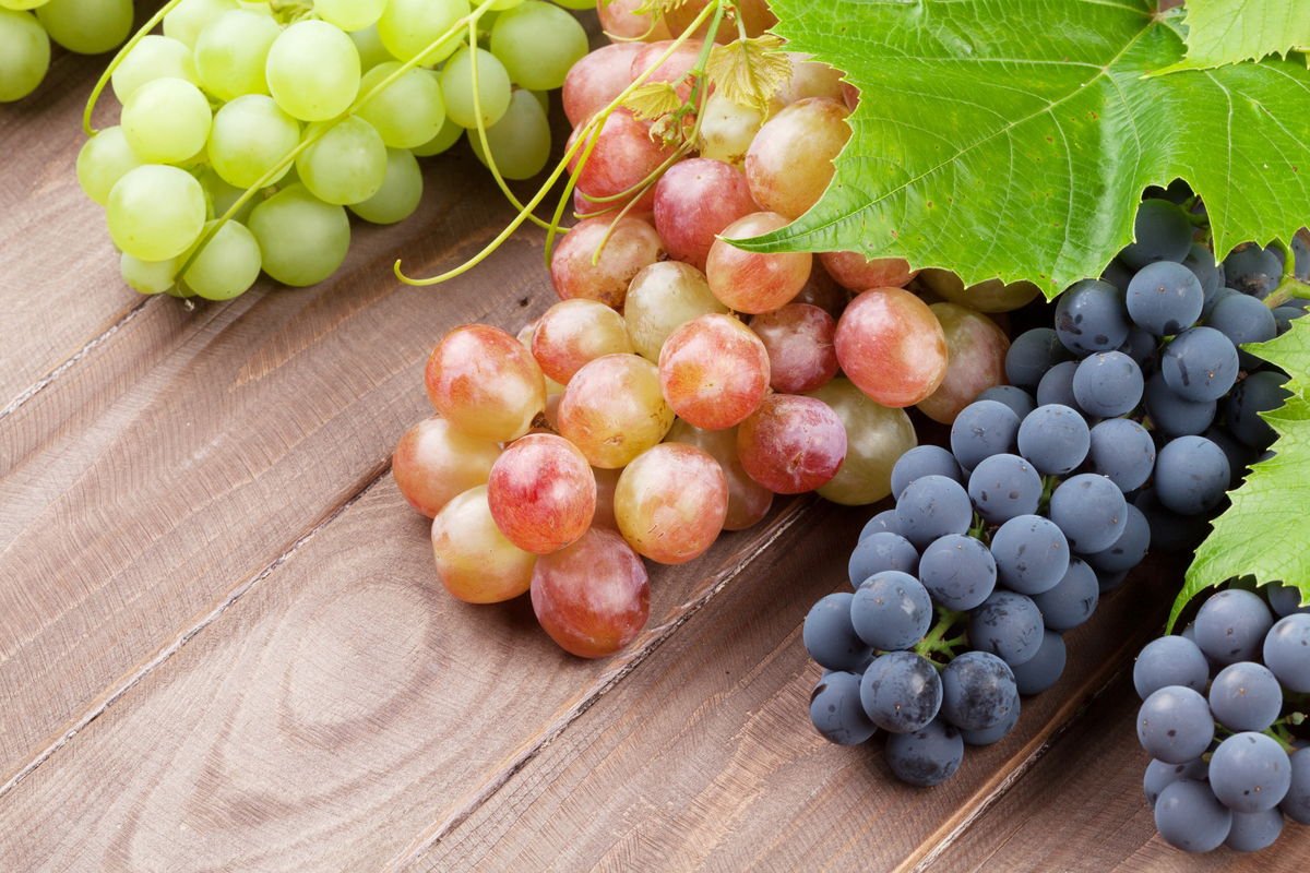 8 benefícios da uva e como consumir (com receitas)