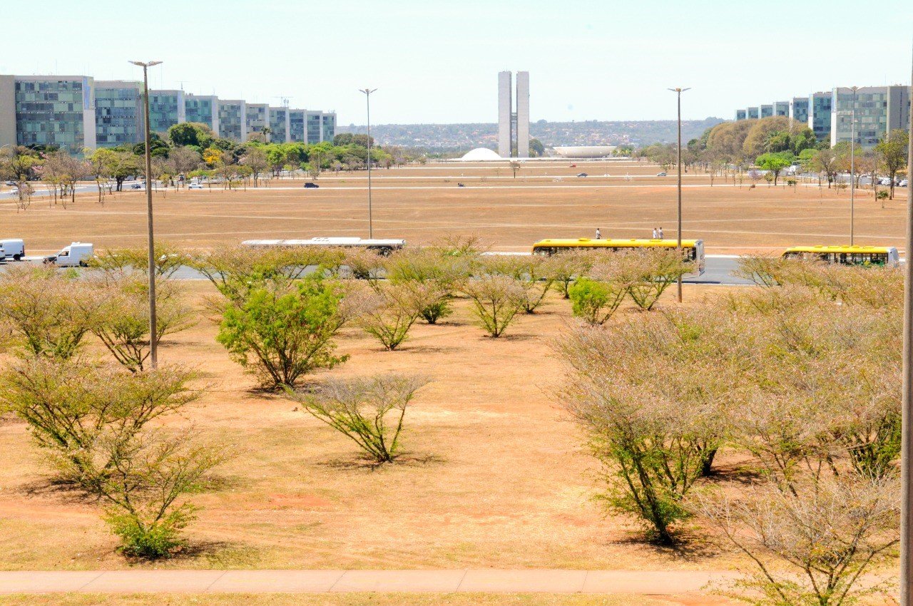 Crédito: acordadf.com.br