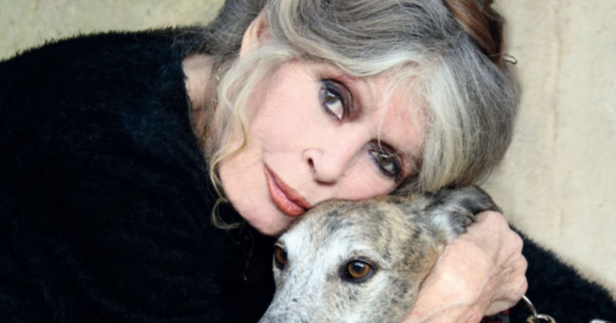 Fundação de animais de Brigitte Bardot  • Instagram/ Fondation Brigitte Bardot